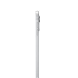 iPad Pro 11 M4 WiFi Cell 1TB Silber