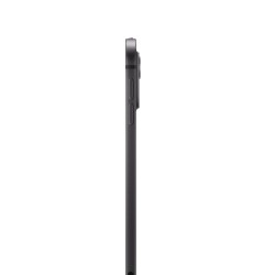 iPad Pro 11 M4 WiFi Cell 2TB Schwarz