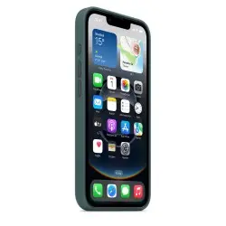 🛒 Kaufen Sie Case iPhone 16e Seegrün im Shop Duty Free.de 🚀